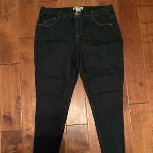 Democracy Plus Size Jeans 16W